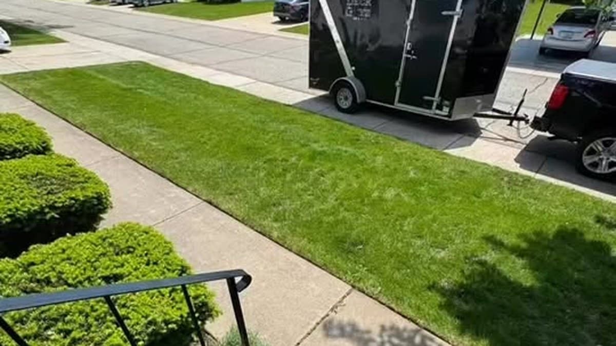 Bed edges cut clean against the lawn