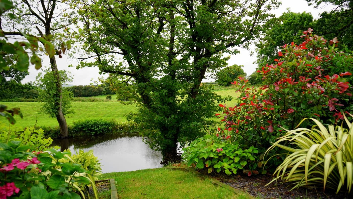 Landscaped garden beds with mulch and plantings