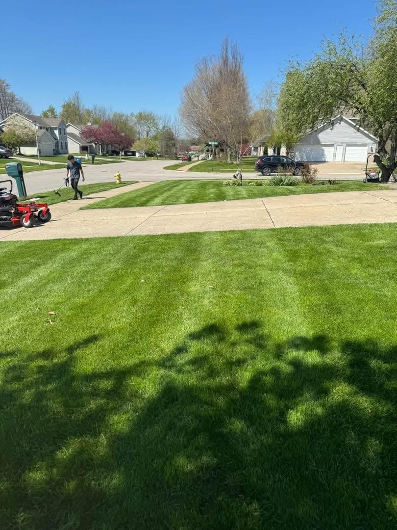 Dense turf stand mid-season